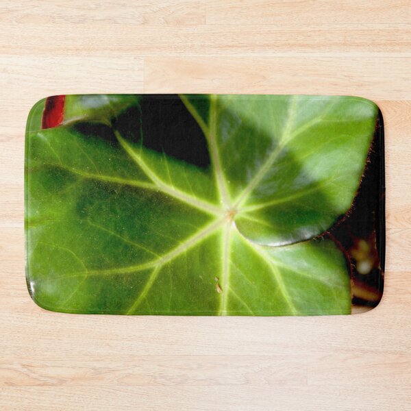 Item preview, Begonia Erythrophylla green round leaves	 designed and sold by EstelleRossetti.