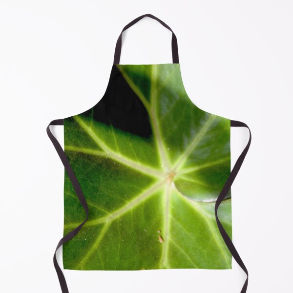 Item preview, Begonia Erythrophylla green round leaves designed and sold by EstelleRossetti.