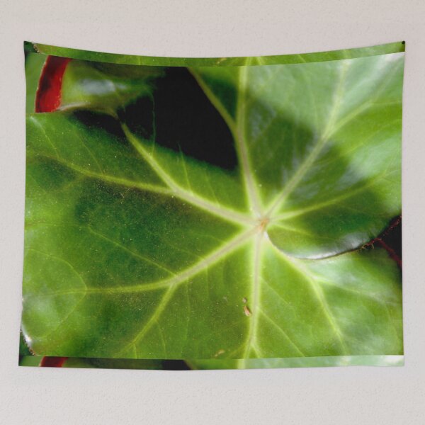 Item preview, Begonia Erythrophylla green round leaves	 designed and sold by EstelleRossetti.