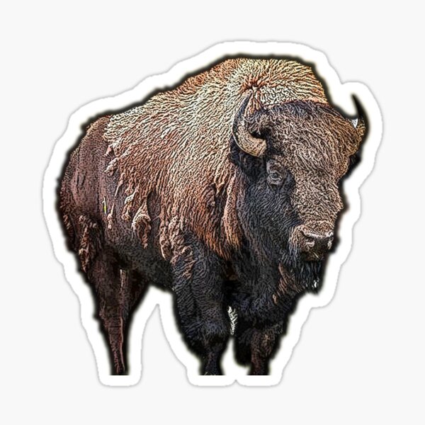 Bison Sticker