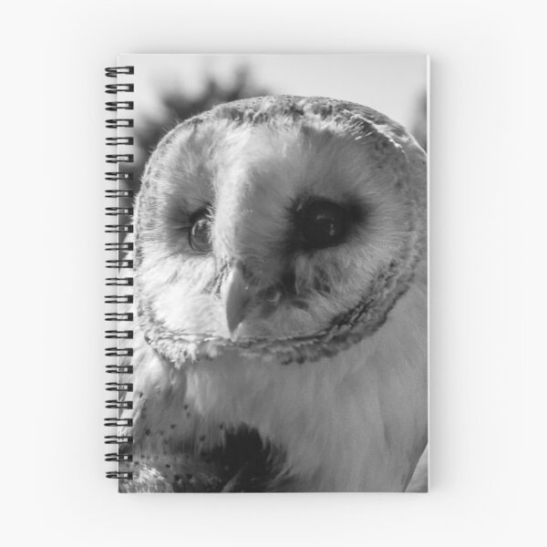Item preview, Barn Owl in Black and white  designed and sold by designbywhacky.