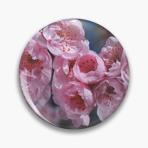 Item preview, Spring Loves Blossom designed and sold by Joy Watson - Natural Light Photography .
