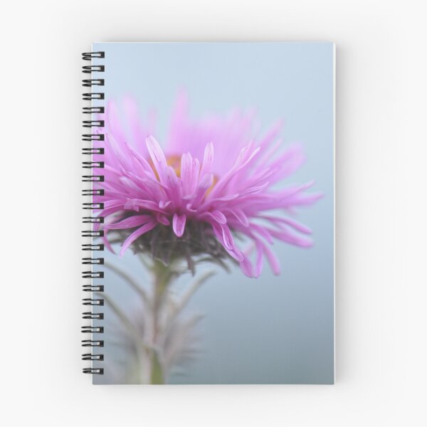Item preview, Pastel designed and sold by Denitsa Prodanova.