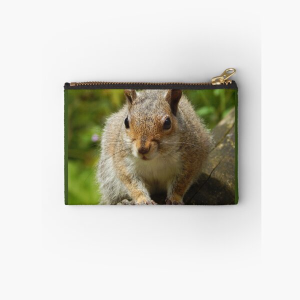 Item preview, Squirrel designed and sold by wallcat.