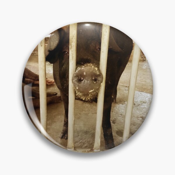 Item preview, Hello Pigsy designed and sold by lawrenstan.