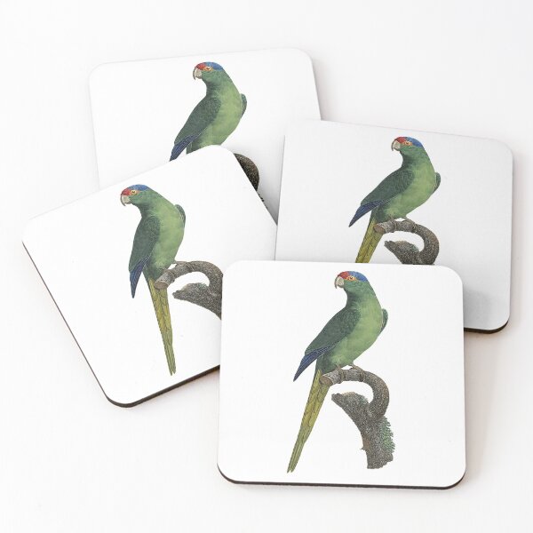 Item preview, Red-crowned amazon designed and sold by Photopicture.