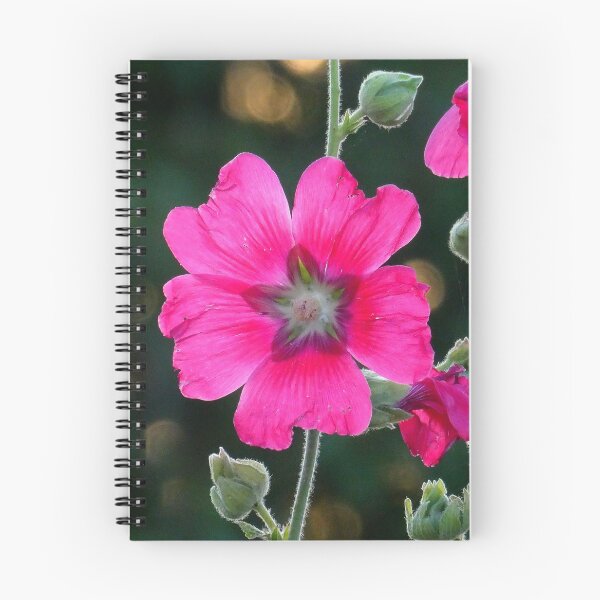 Item preview, Hollyhocks in evening light designed and sold by angel1.