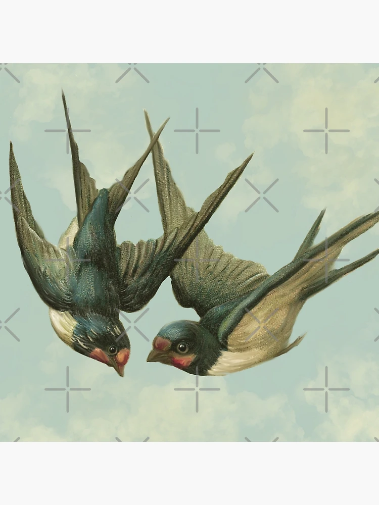 Vintage Swallow Pair