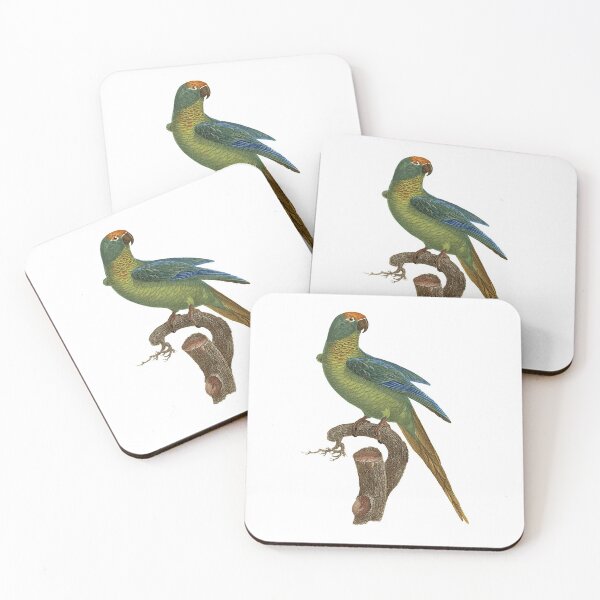 Item preview, Peach-fronted parakeet designed and sold by Photopicture.