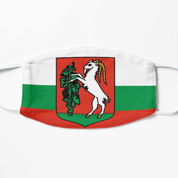 face mask with the flag of Lublin Poland Flat Mask