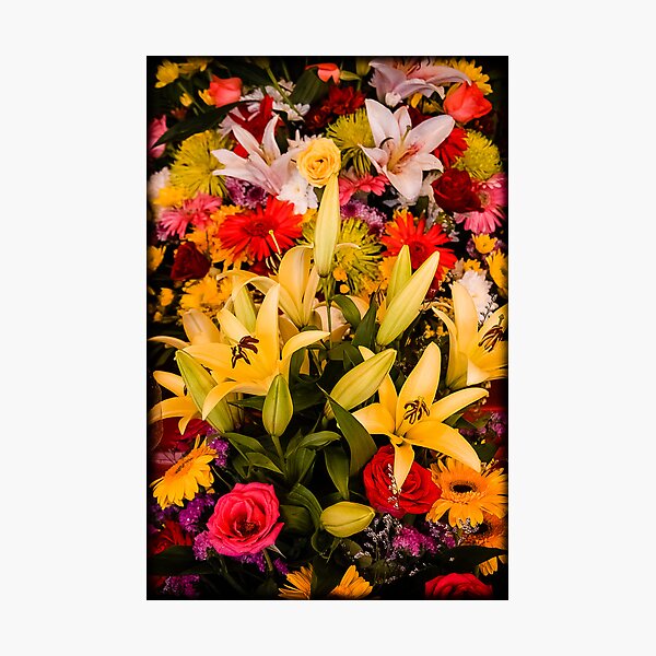 Cambodian Flower Arrangement Photographic Print