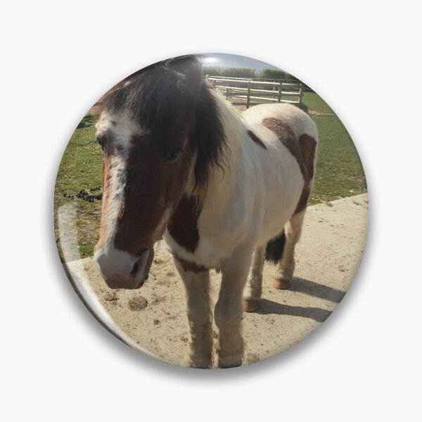 Item preview, Patchy Pony designed and sold by FabulousfoxesAJ.
