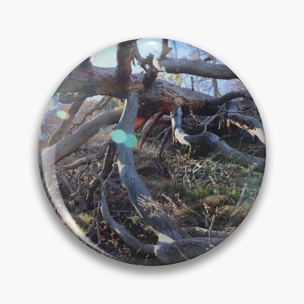Item preview, Dead Wood, Valais, Switzerland designed and sold by watermelonsugar.