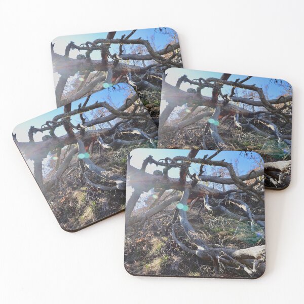 Item preview, Dead Wood, Valais, Switzerland designed and sold by watermelonsugar.