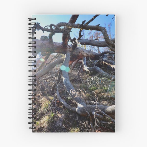 Item preview, Dead Wood, Valais, Switzerland designed and sold by watermelonsugar.