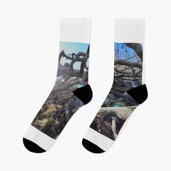 Item preview, Dead Wood, Valais, Switzerland designed and sold by watermelonsugar.