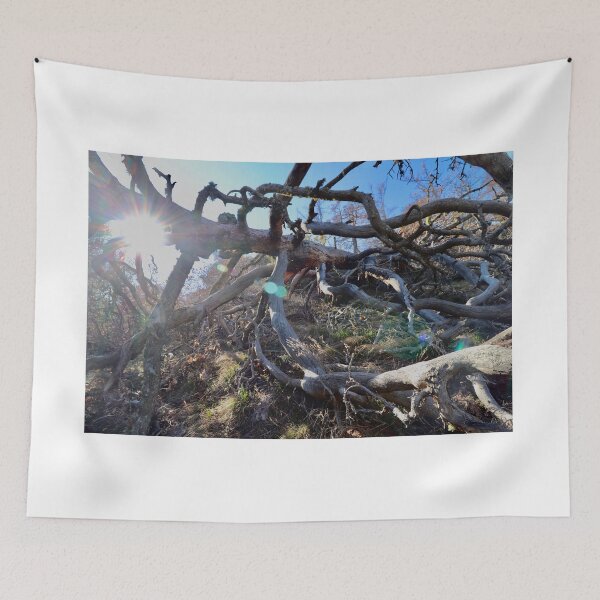 Item preview, Dead Wood, Valais, Switzerland designed and sold by watermelonsugar.