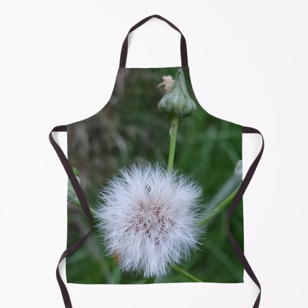 Item preview, Dandelion designed and sold by CreativeWorld96.