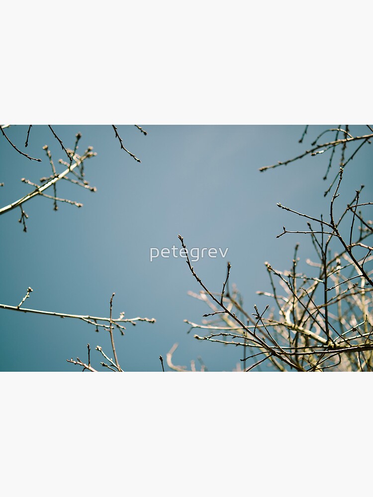 Skyward by petegrev