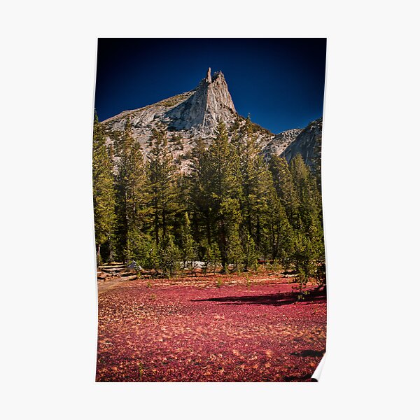 Cathedral Peak Poster
