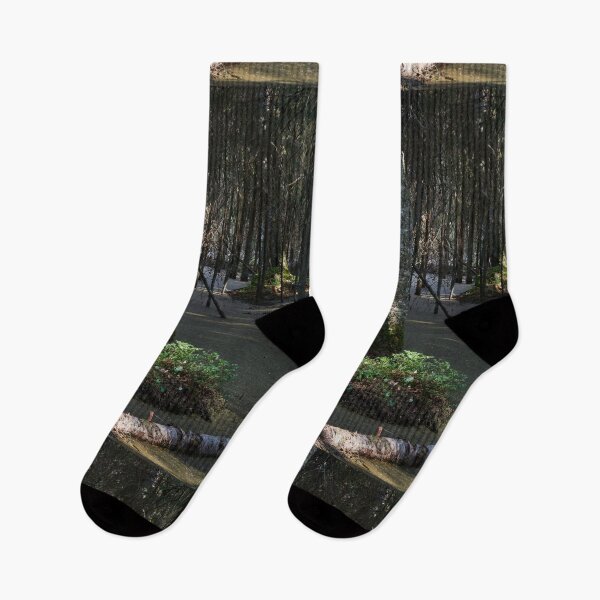 Item preview, Beaverlake designed and sold by Jouko Lehto Photography.
