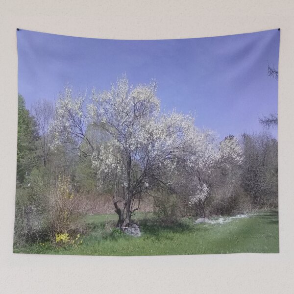 Item preview, Plums in bloom designed and sold by BellsPainting.