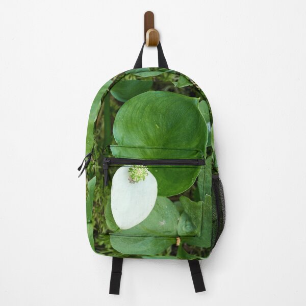 Item preview, Water Arum greens designed and sold by Jouko Lehto Photography.