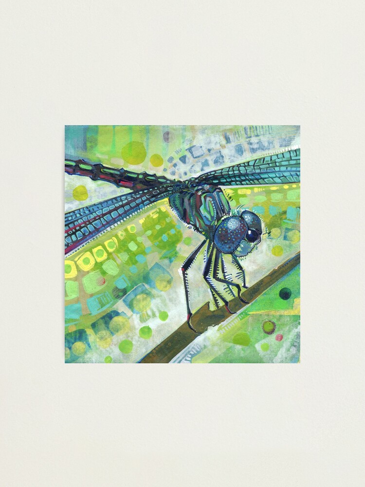 Thumbnail 1 of 3, Photographic Print, Dragonfly on a Branch designed and sold by gwennpaints.
