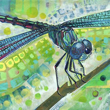 Artwork thumbnail, Dragonfly on a Branch by Gwenn Seemel
