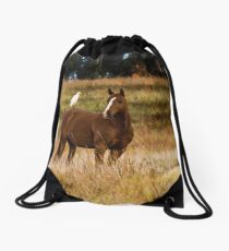 The Hitch Hiker Drawstring Bag