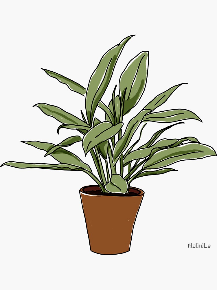 House Plant Illustration by NaliniLe