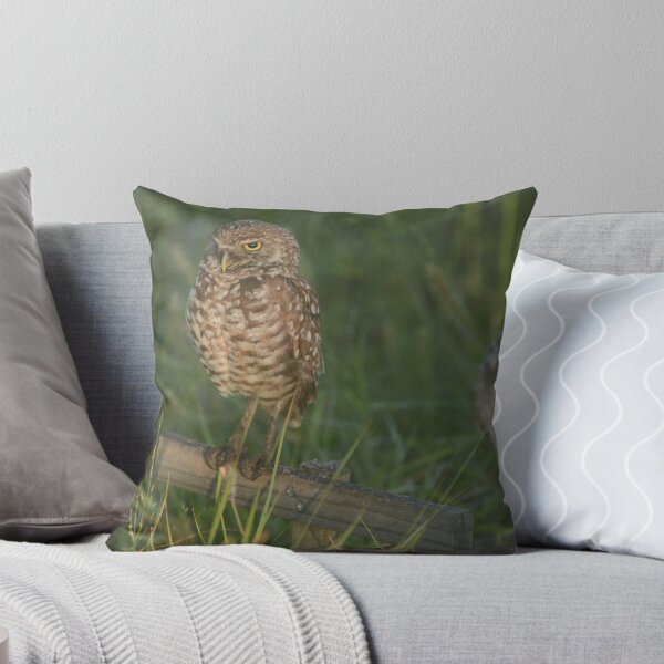 Item preview, Burrowing Owl Nest designed and sold by TinyCameraNinja.