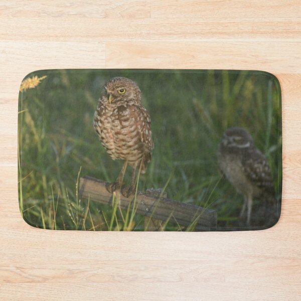 Item preview, Burrowing Owl Nest designed and sold by TinyCameraNinja.