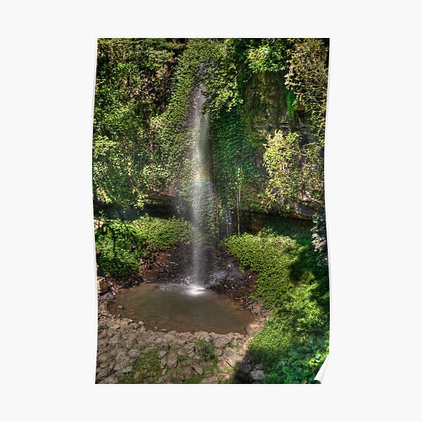 Crystal Shower Falls, Dorrigo NP, NSW Poster