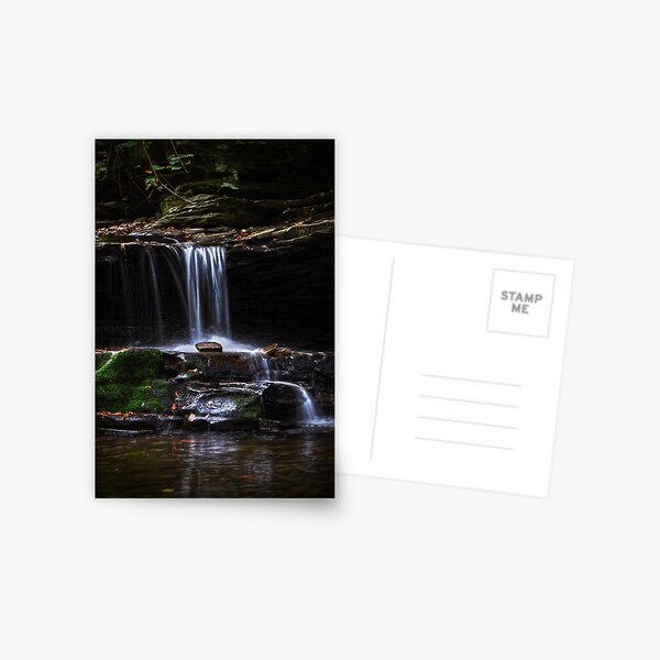 Kitchen Creek # 2 Postcard