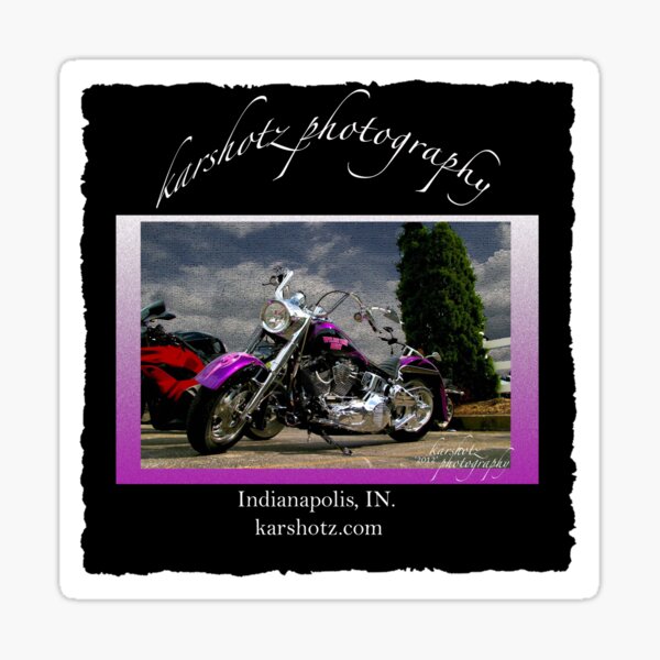 Harley Davidson Purple Bike Sticker