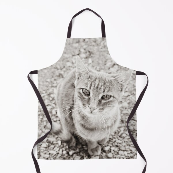 Item preview, I want treats! designed and sold by MarionsArt.