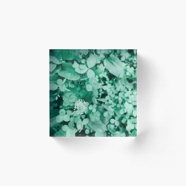 Green Leaves Acrylic Block