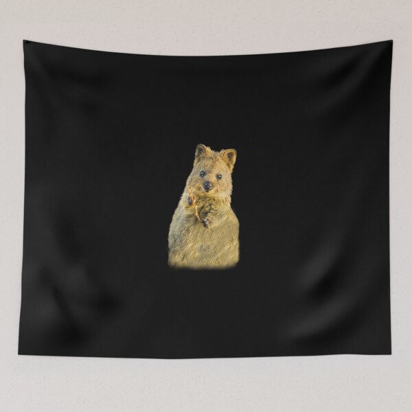 Item preview, quokka  designed and sold by BENAZCOMPANY.