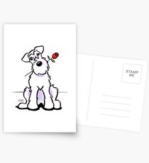 White Schnauzer Sweetheart Postcards