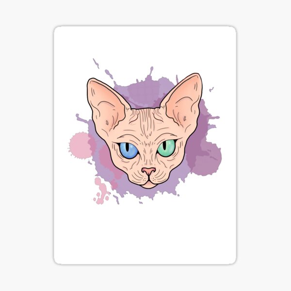 Odd Eyed Sphynx Cat Sticker