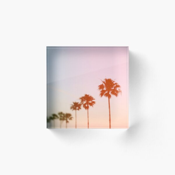 Summer Palms Acrylic Block