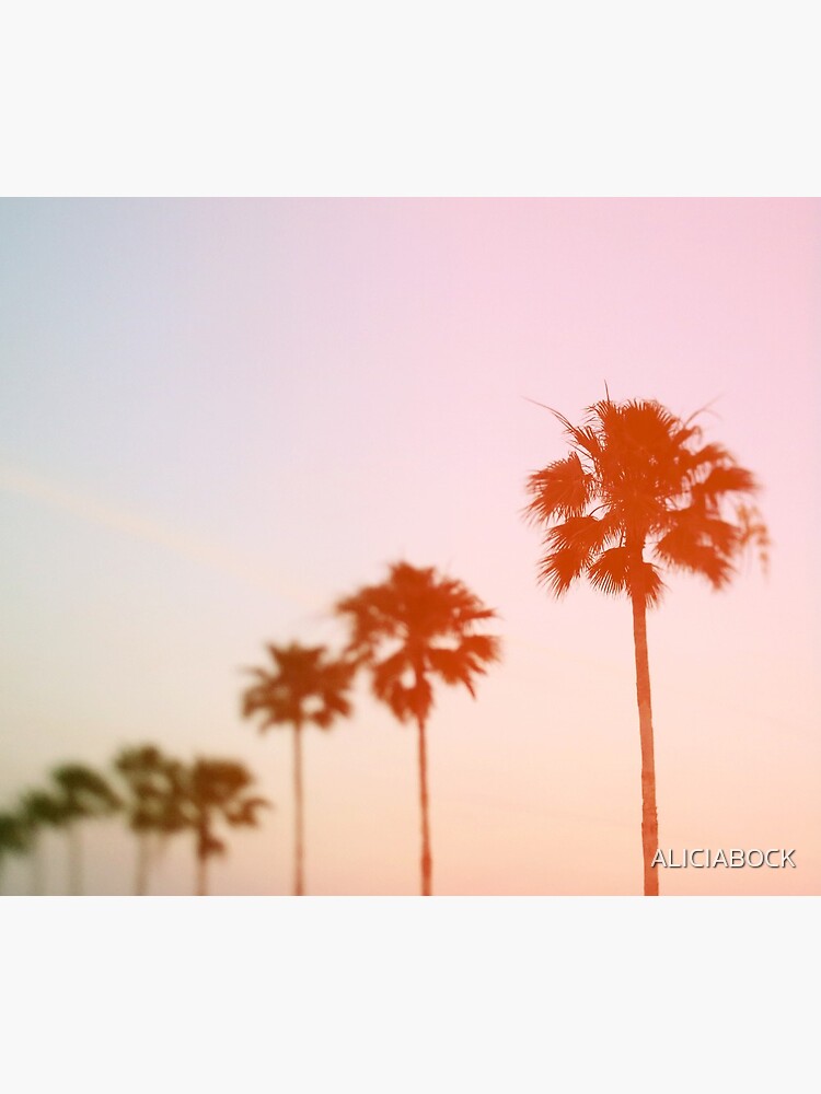Summer Palms by ALICIABOCK