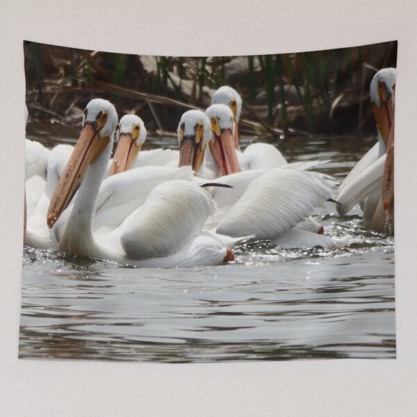 Item preview, Group of Pelican designed and sold by Nicole Kiefer.