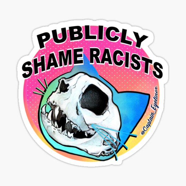 Publicly Shame Racists Sticker