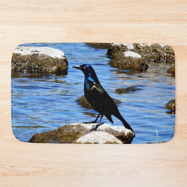 Item preview, Common Grackle at the Lake designed and sold by Nicole Kiefer.