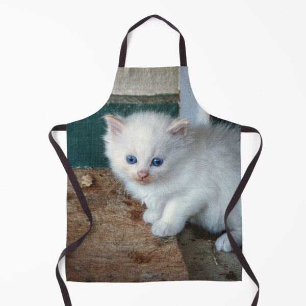 Item preview, White Kitten designed and sold by Frankie Cat Photography.