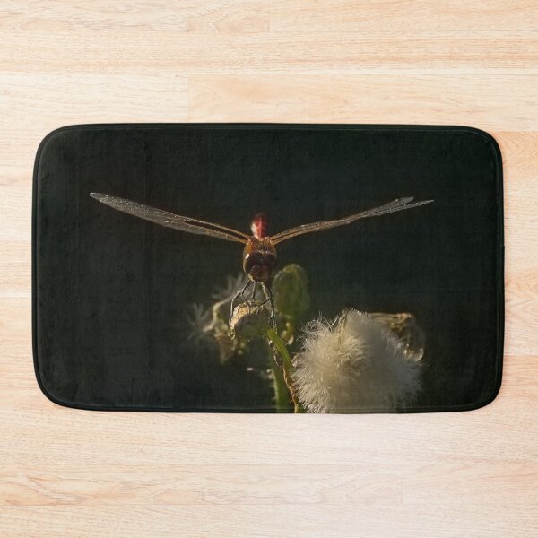 Item preview, Ruddy darter on an overblown flower designed and sold by xophotography.