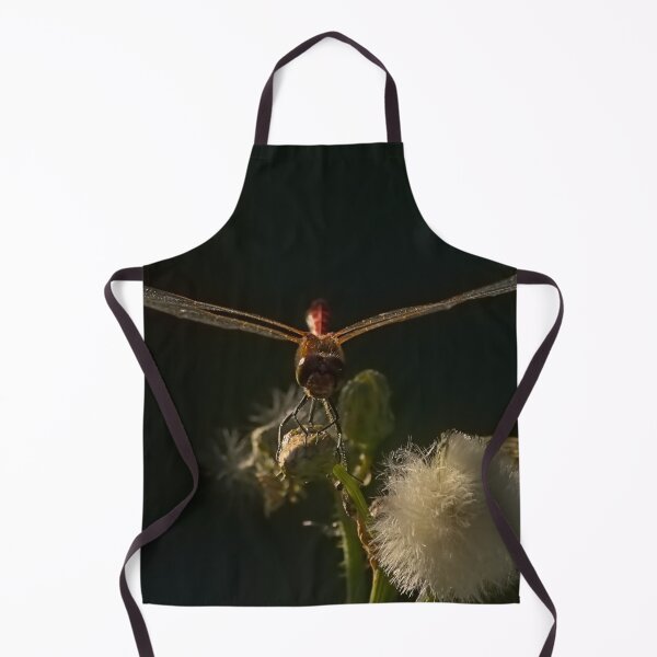 Item preview, Ruddy darter on an overblown flower designed and sold by xophotography.