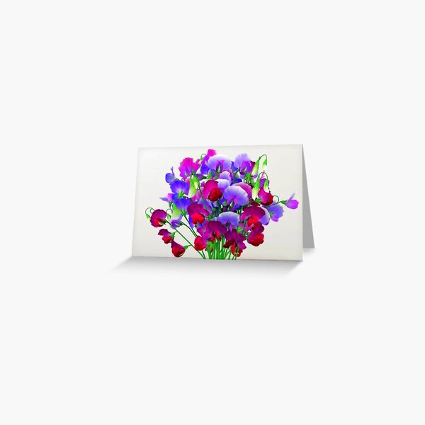 Sweet Pea Greeting Card